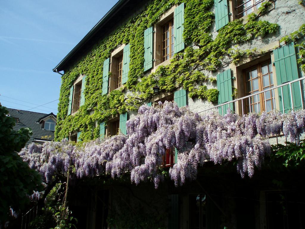 La Maison De Concise (Adults Only) Thonon-les-Bains Exterior foto